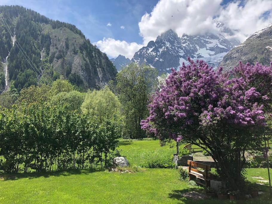 Appartamenti Vista Monte Bianco Courmayeur-Entreves Экстерьер фото